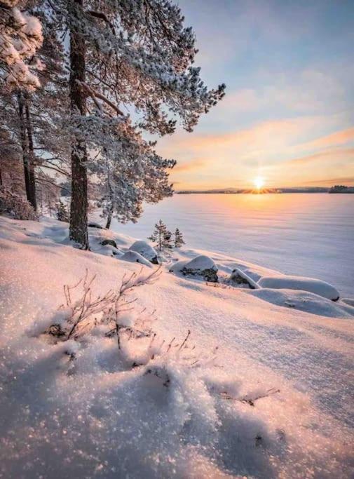 1 B1B Lake Cabin/Walk To Lake/Boulder Bay Park Биг Бэар Лейк Экстерьер фото